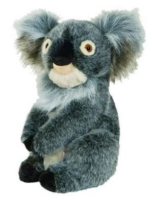 Daphne's Koala driver headcover