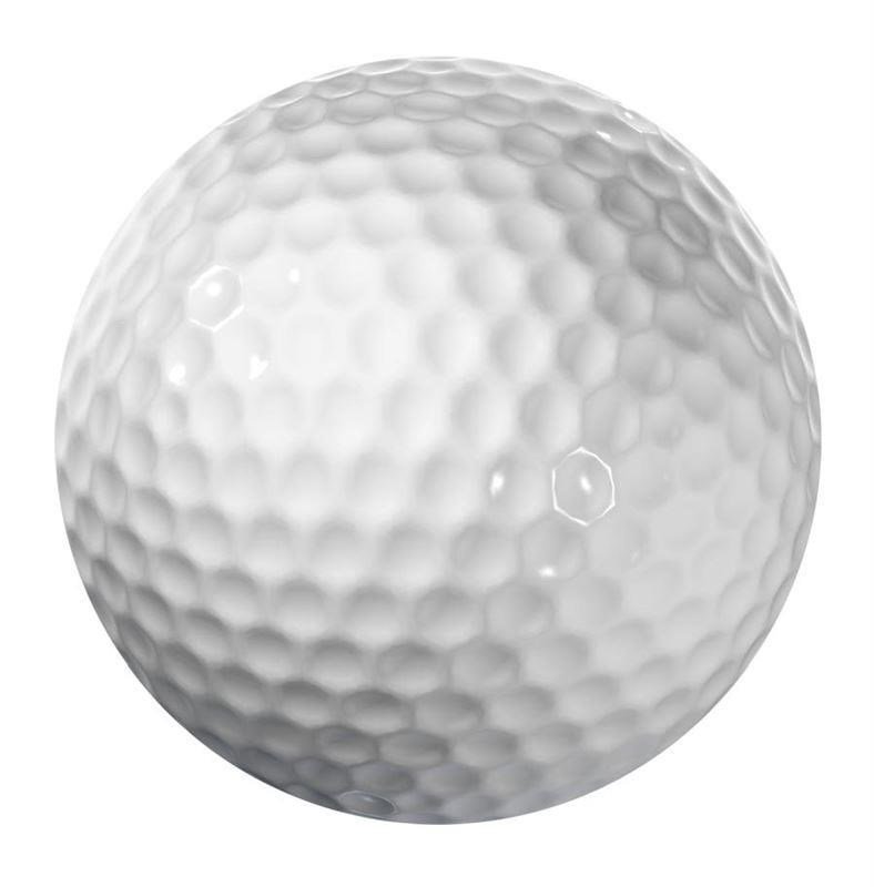Longridge Blank 2-Piece golfbollar