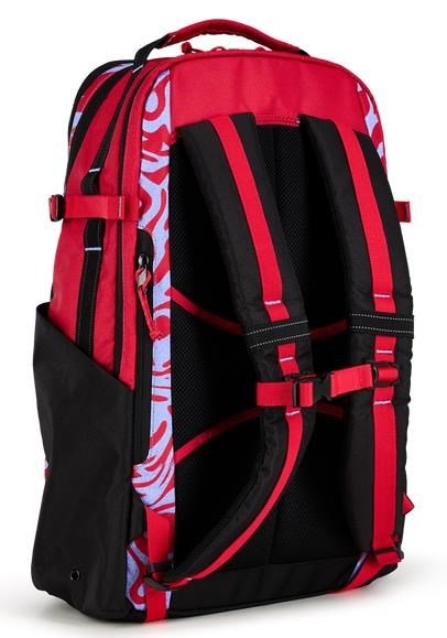 Ogio Alpha 25L Backpack bag