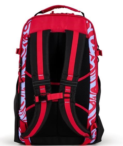 Ogio Alpha 25L Backpack bag