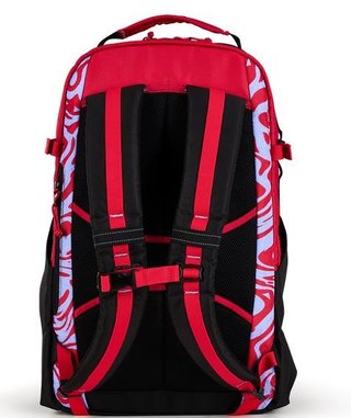 Ogio Alpha 25L Backpack bag