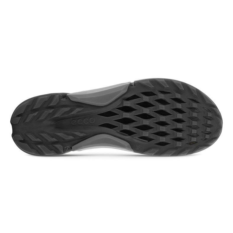 Ecco Biom H4 Boa dam golfskor, svarta