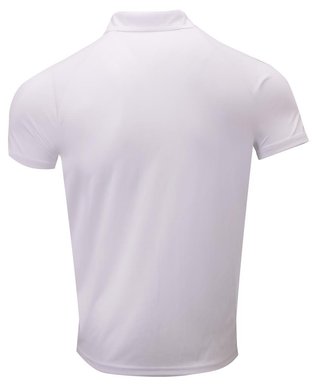 2117 of Sweden Fröseke herr polo, vit