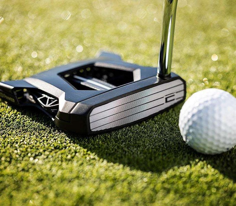 Cobra KING 3D Printed Agera Black putter 2023