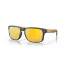 Oakley Holbrook Steel Colection Matte Carbon Prizm 24K Polarized solglasögon