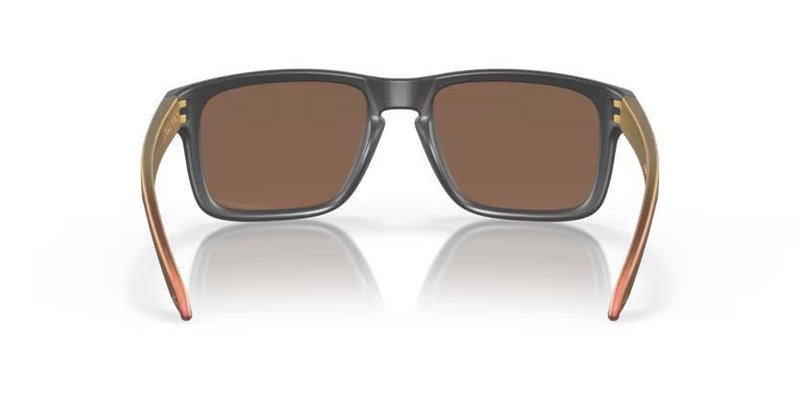 Oakley Holbrook Steel Colection Matte Carbon Prizm 24K Polarized solglasögon