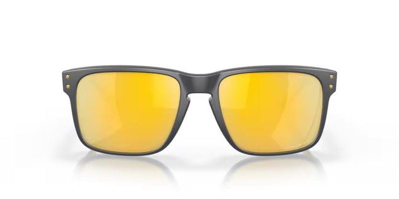 Oakley Holbrook Steel Colection Matte Carbon Prizm 24K Polarized solglasögon