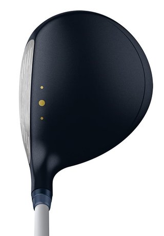 PING G Le3 damträ