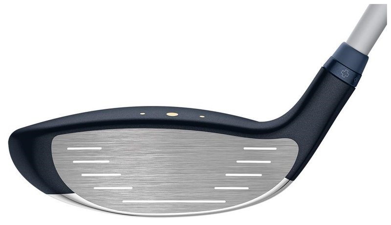 PING G Le3 damträ