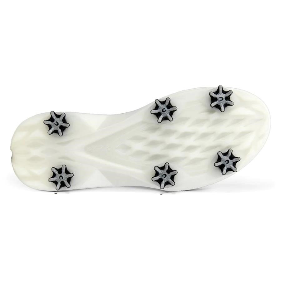 Ecco Biom G5 BOA herr golfskor, grå