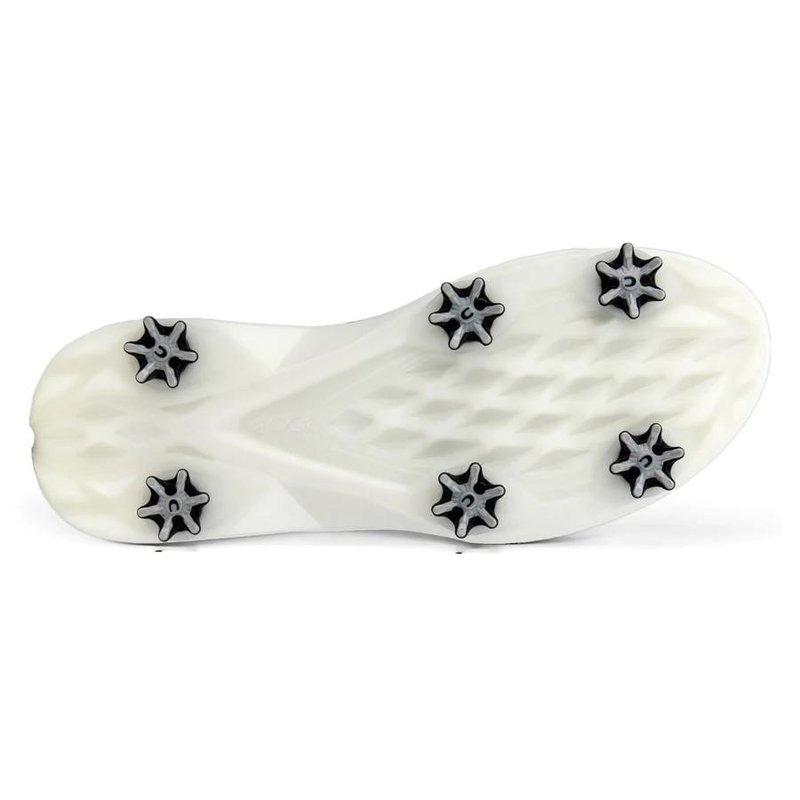 Ecco Biom G5 BOA herr golfskor, grå