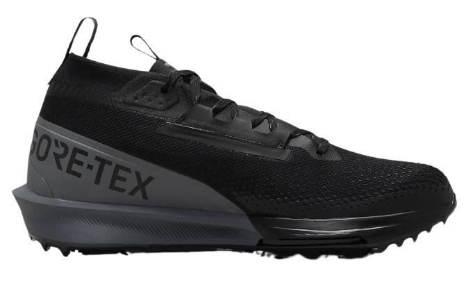 Nike Nike Infinity Tour 2 Gore-Tex herr golfskor, svarta