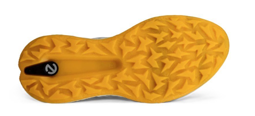 Ecco Biom H5 herr golfskor, grå