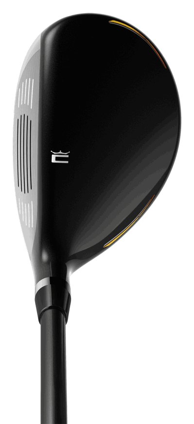 Cobra Fly-XL 2 Black Gold herr golfset, grafit