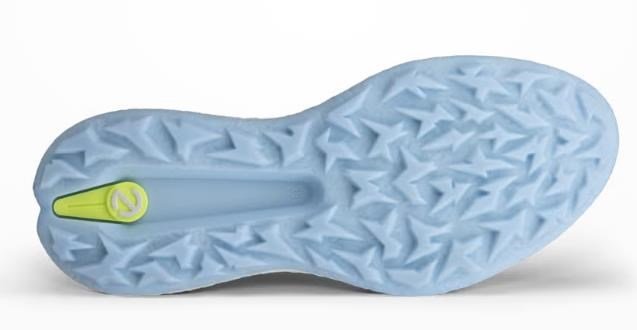 Ecco Biom H5 dam golfskor