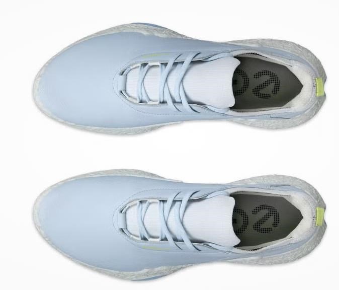 Ecco Biom H5 dam golfskor