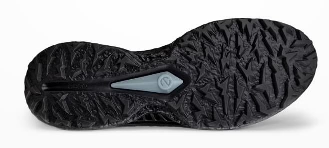 Ecco Biom C5 herr golfskor, svarta