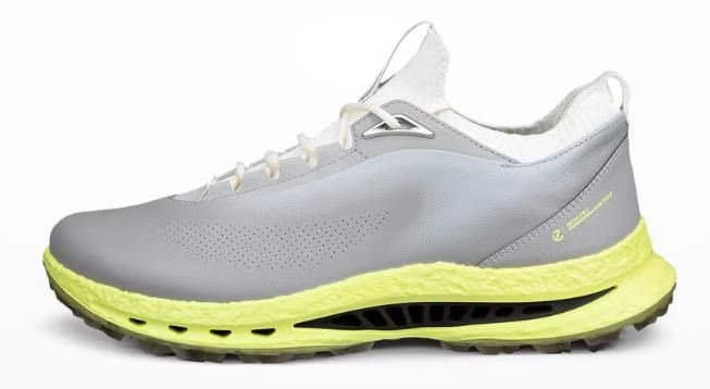 Ecco Biom C5 herr golfskor, grå