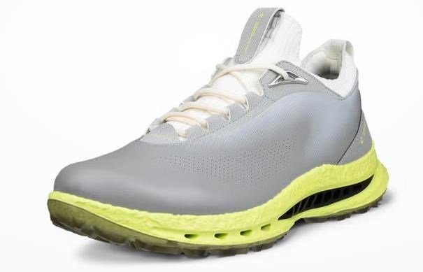 Ecco Biom C5 herr golfskor, grå