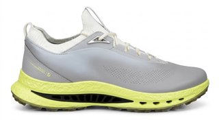Ecco Biom C5 herr golfskor, grå