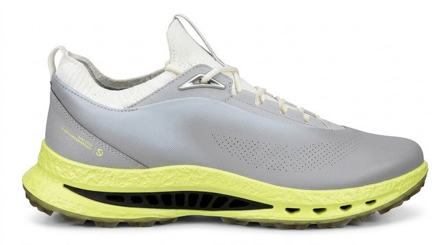 Ecco Biom C5 herr golfskor, grå