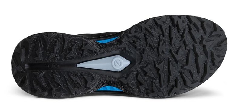 Ecco Biom C5 BOA herr golfskor, svarta