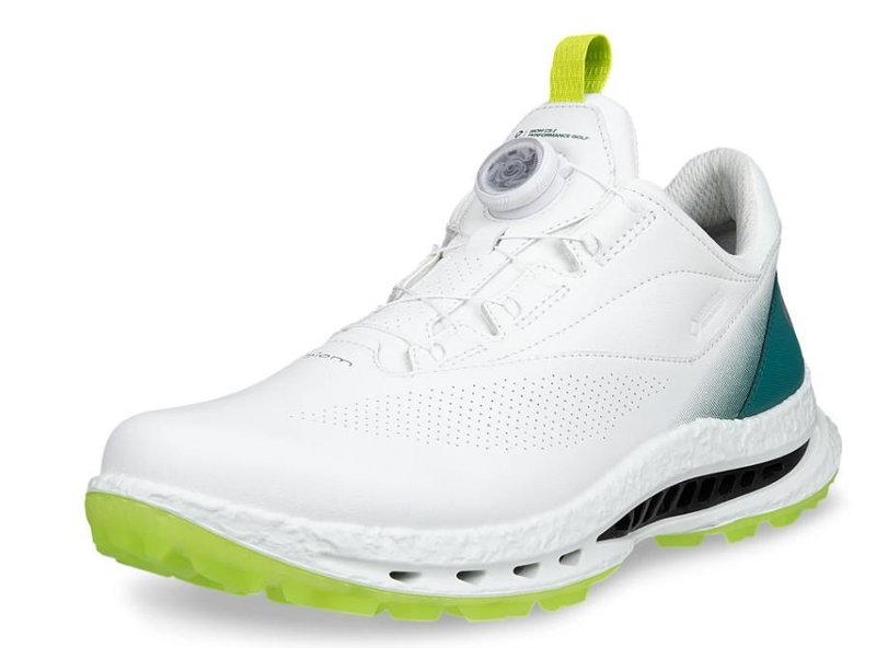 Ecco Biom C5 BOA herr golfskor, vita