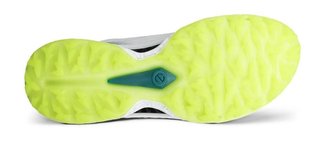 Ecco Biom C5 BOA herr golfskor, vita