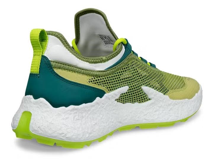 Ecco Biom H5 herr golfskor, gröna
