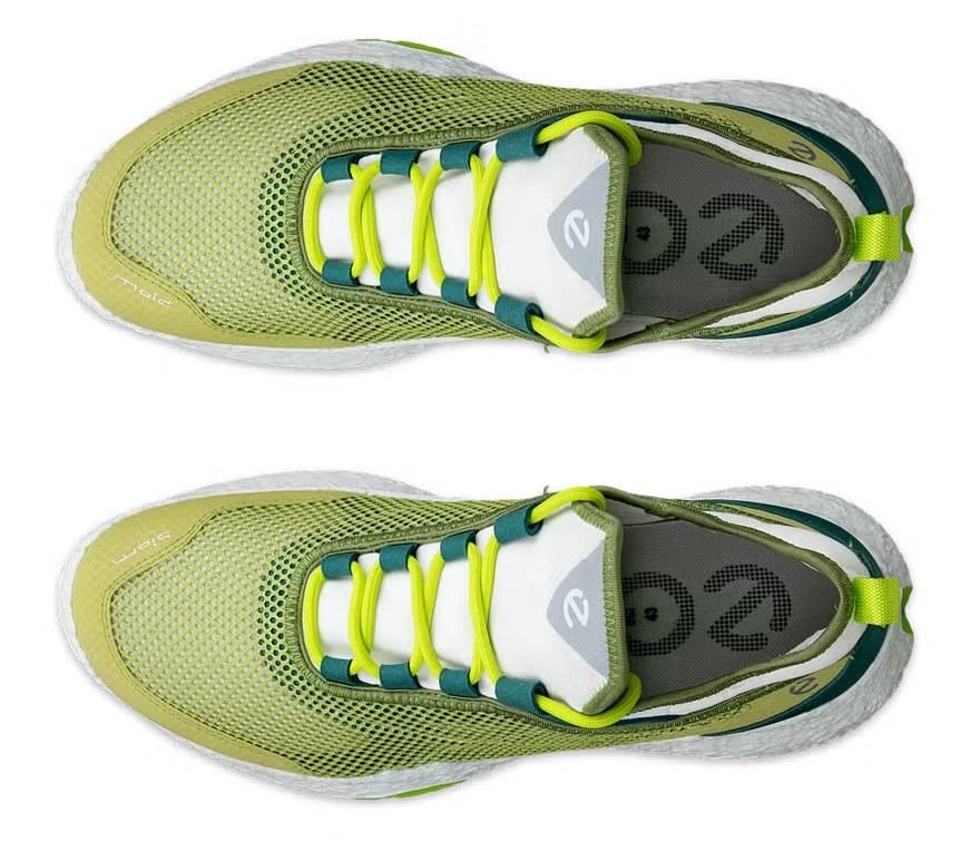 Ecco Biom H5 herr golfskor, gröna