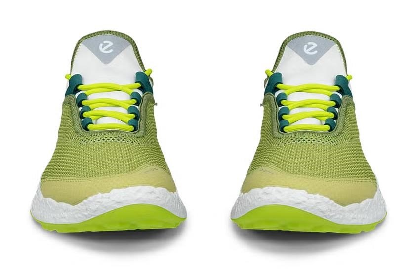 Ecco Biom H5 herr golfskor, gröna