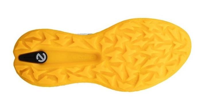 Ecco Biom H5 herr golfskor, wild dove