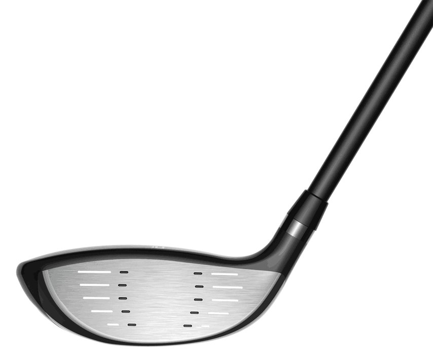 Cobra Fly-XL herr golfset, grafit, +1" + stand bag, black gold