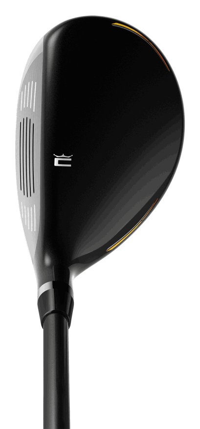 Cobra Fly-XL herr golfset, grafit, +1" + stand bag, black gold
