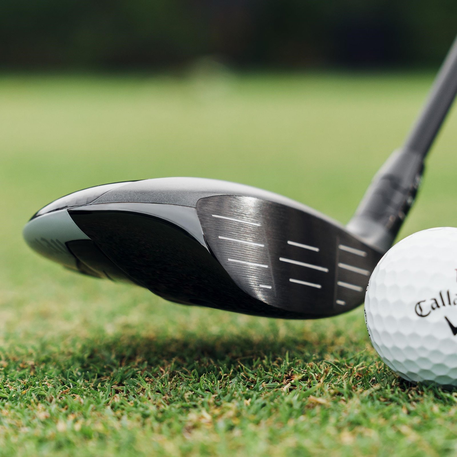 Callaway Quantum Max herr fairwaywood