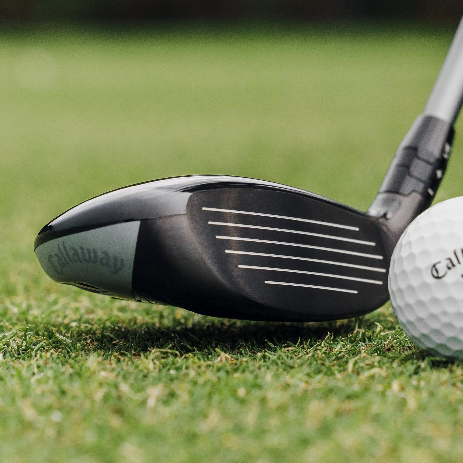 Callaway Quantum Max OS damhybrid