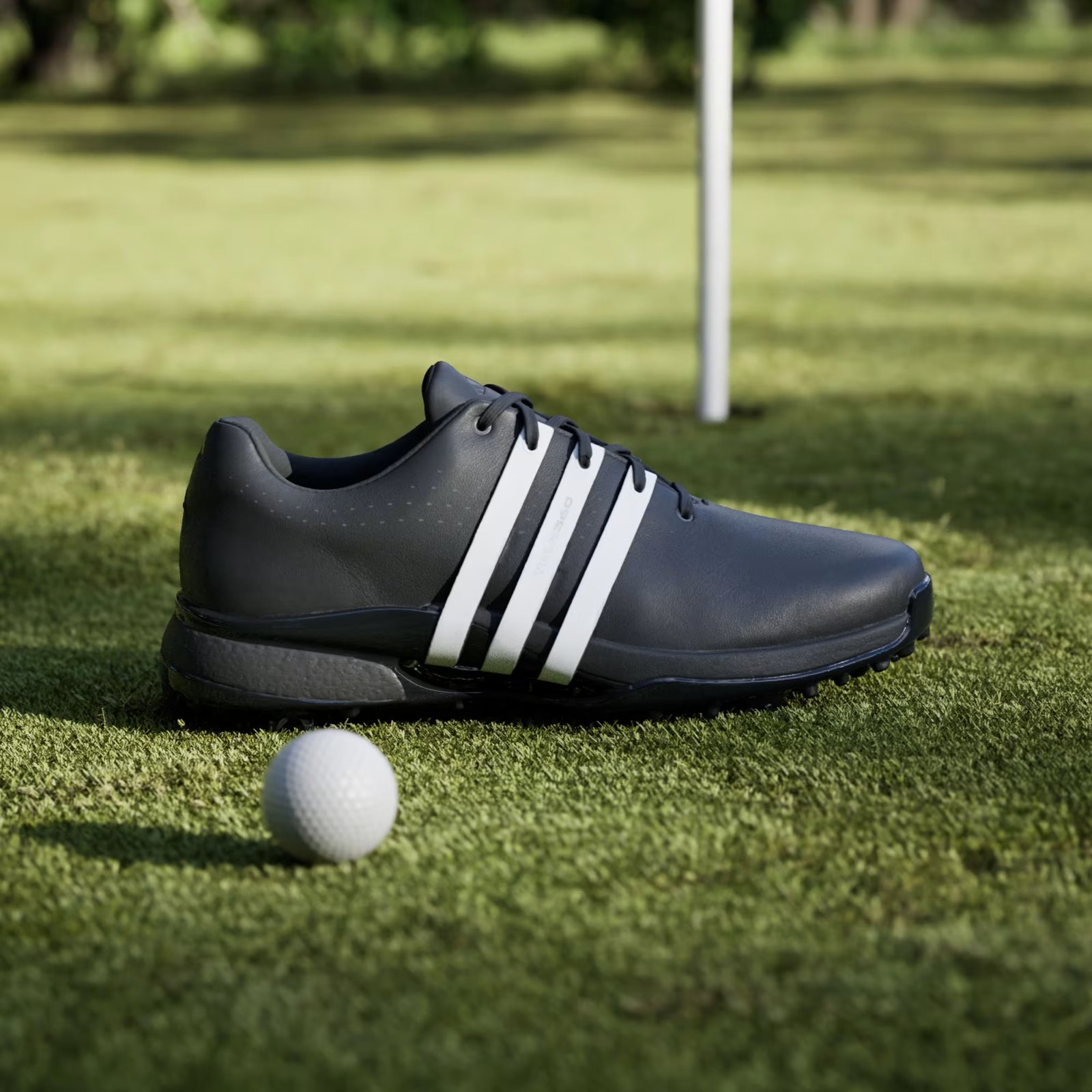 Adidas Tour360 24 herr golfskor, svart