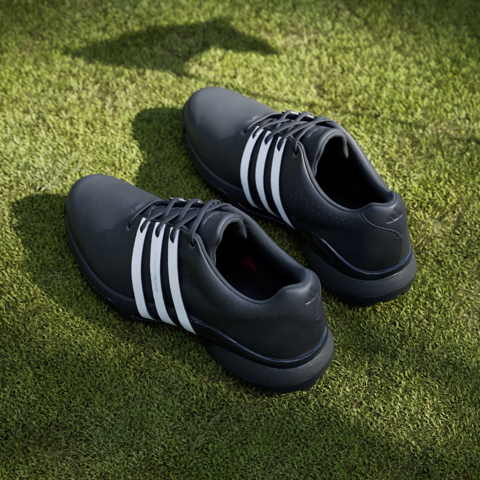 Adidas Tour360 24 herr golfskor, svart