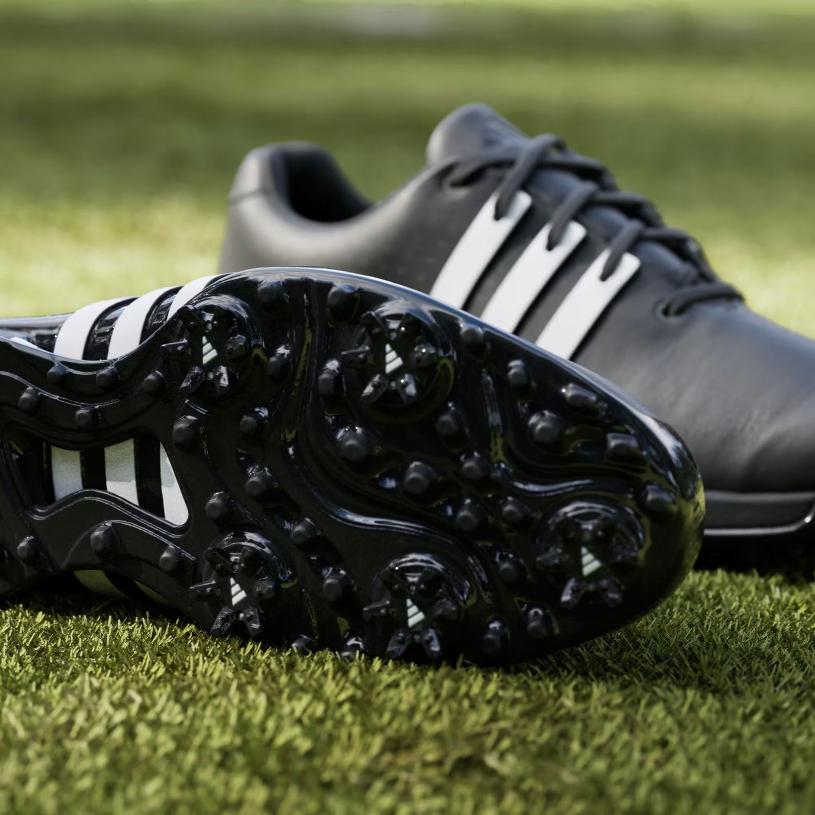 Adidas Tour360 24 herr golfskor, svart