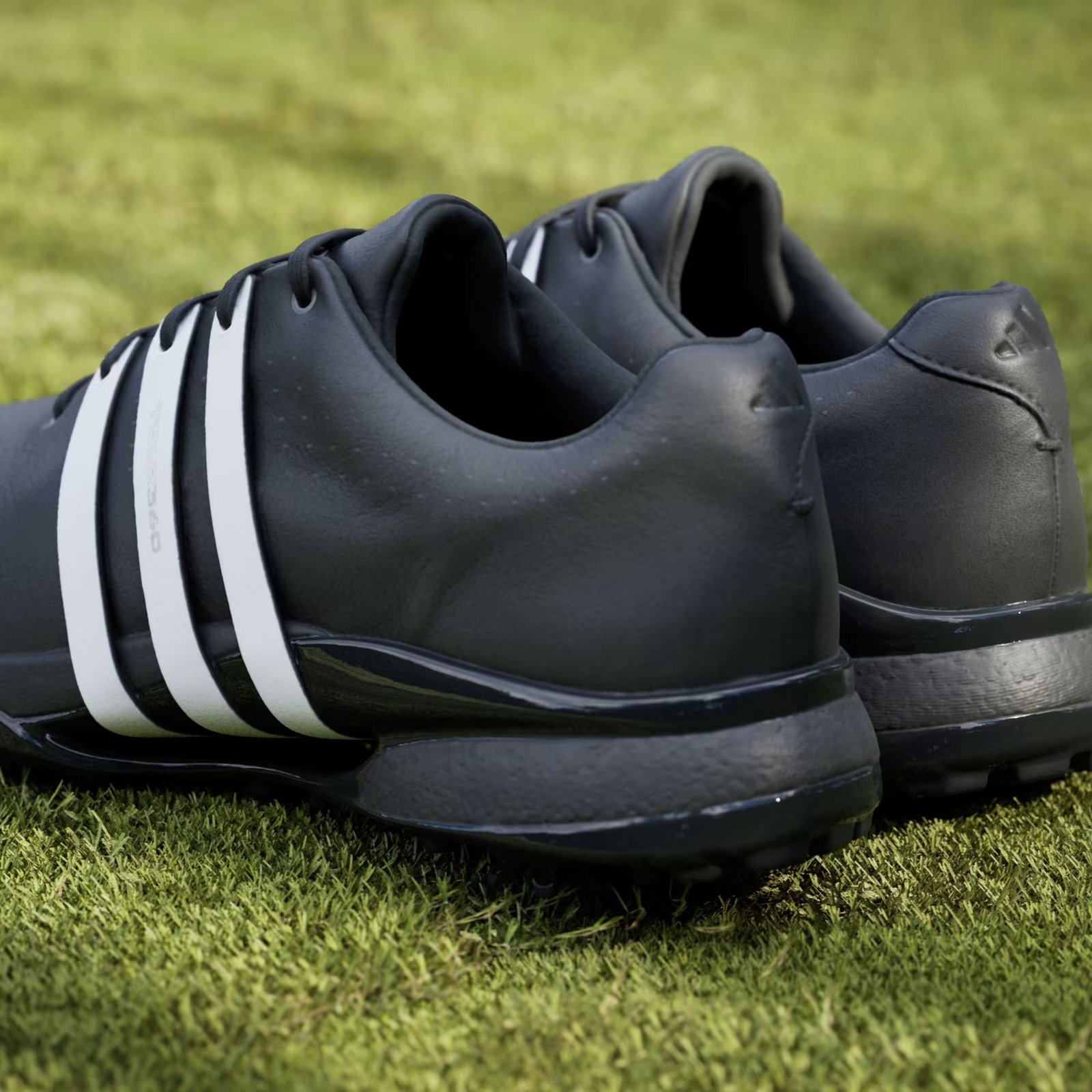 Adidas Tour360 24 herr golfskor, svart